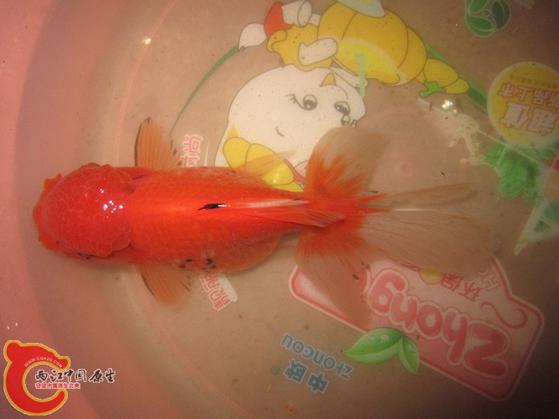 IMG_6906_副本.jpg
