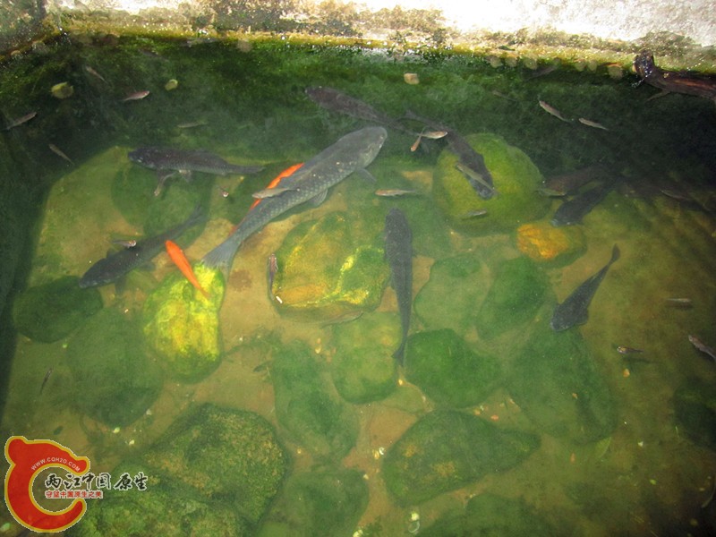 IMG_6894_副本.jpg