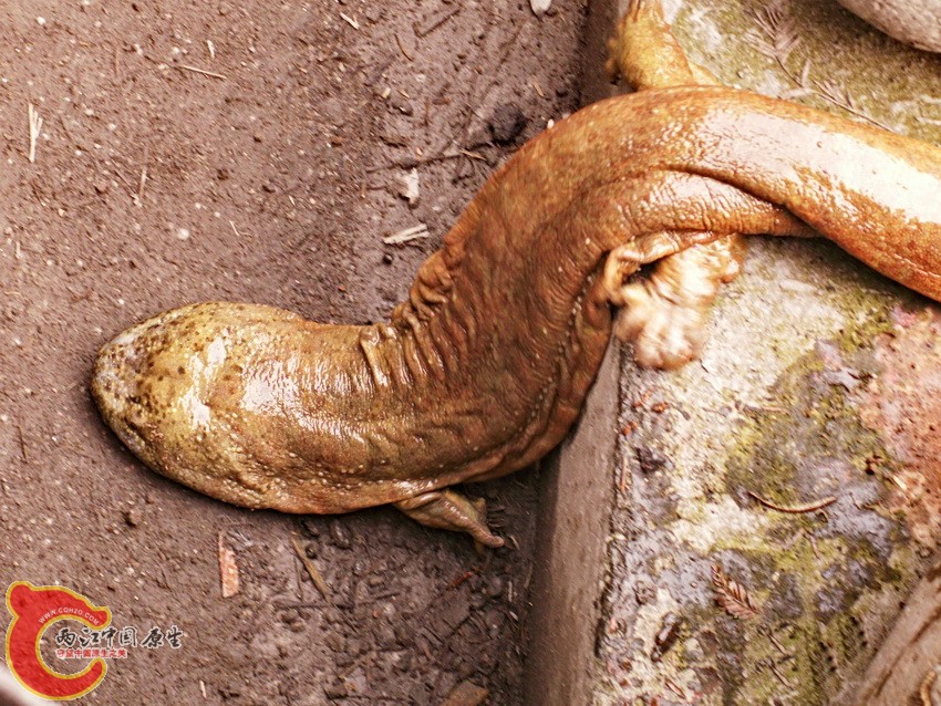 PICT0015.JPG