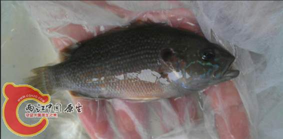 QQ截图20130314223029.png