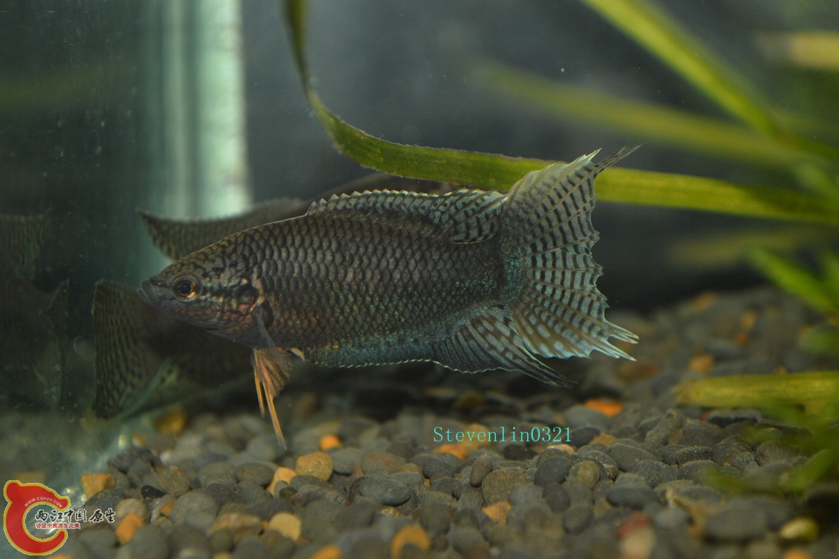 DSC_0858_副本.jpg