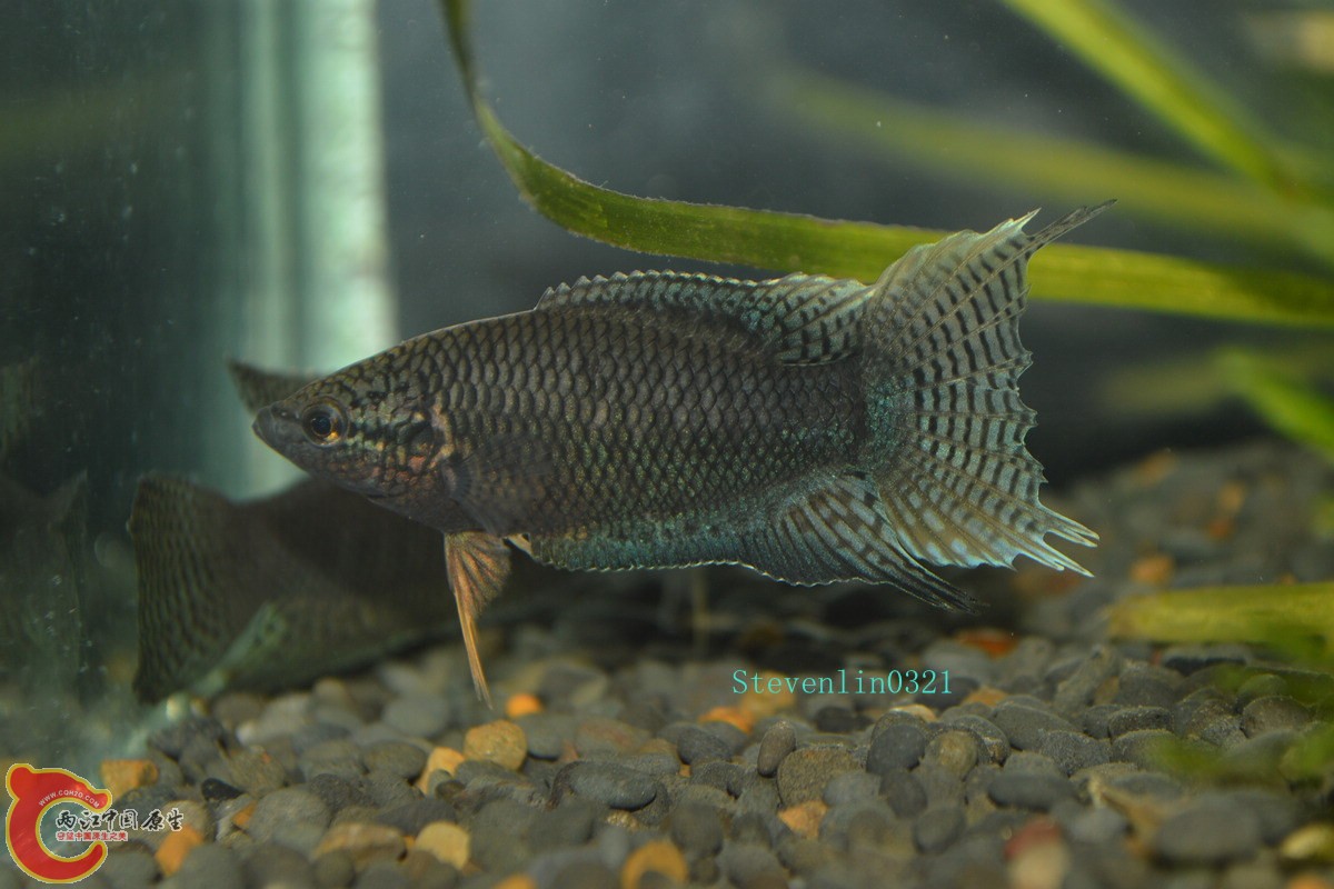 DSC_0859_副本.jpg