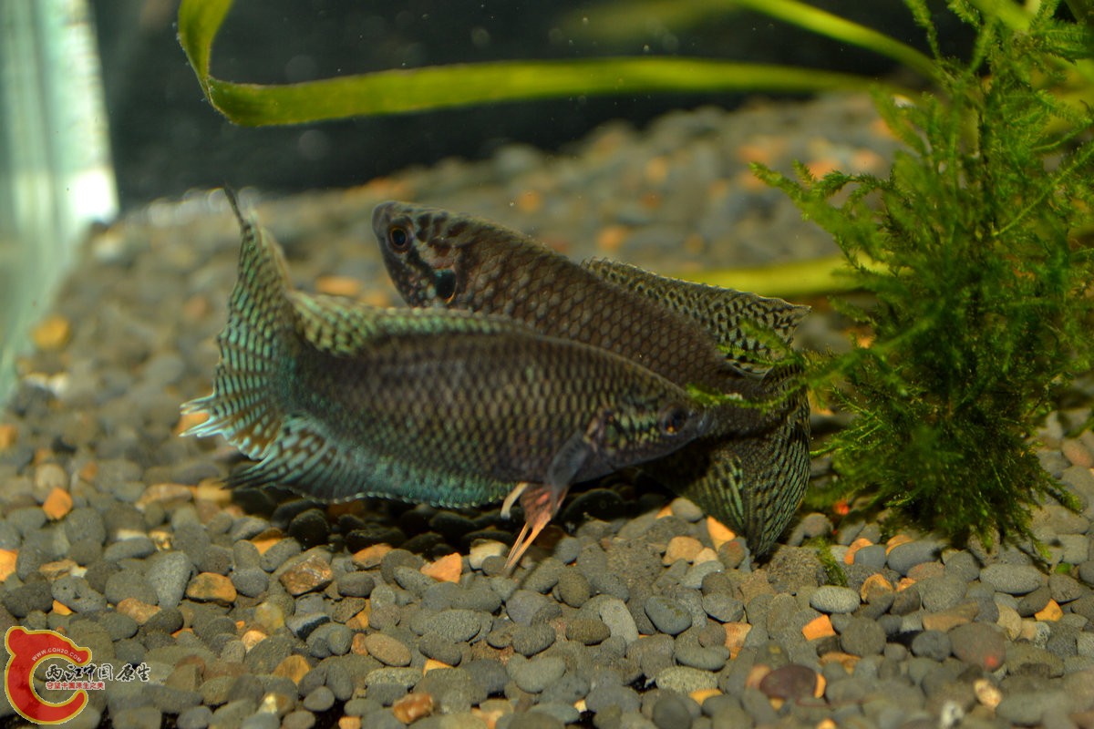DSC_0861.jpg