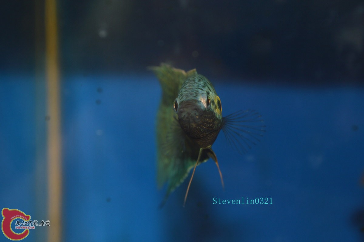 DSC_0873_副本.jpg