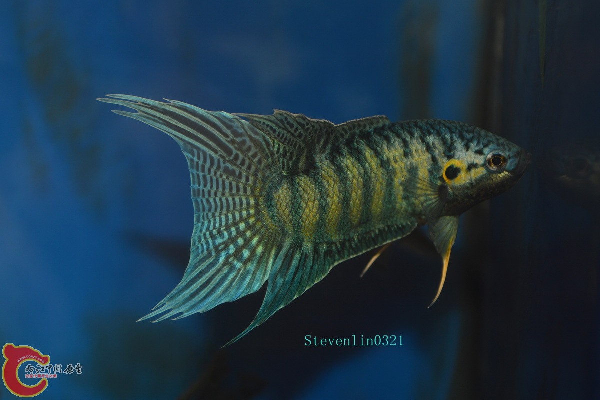DSC_0879_副本.jpg