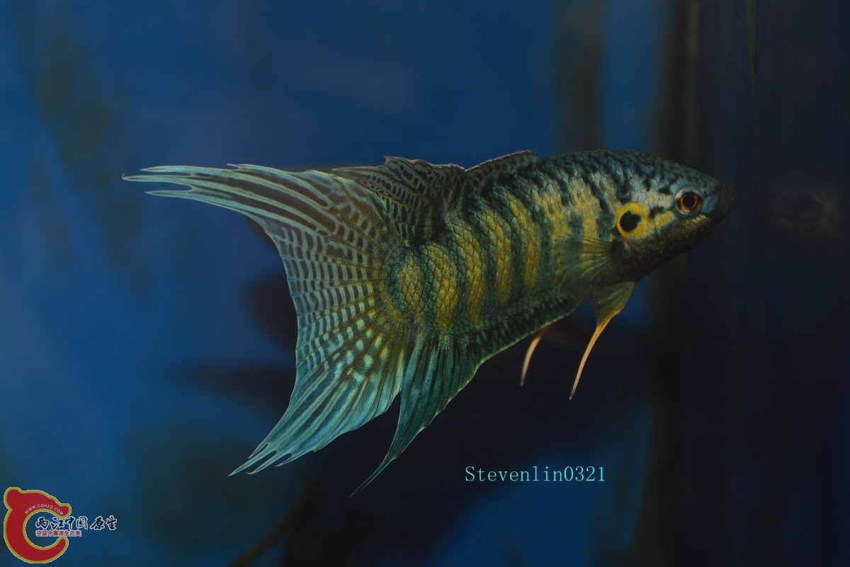 DSC_0880_副本.jpg