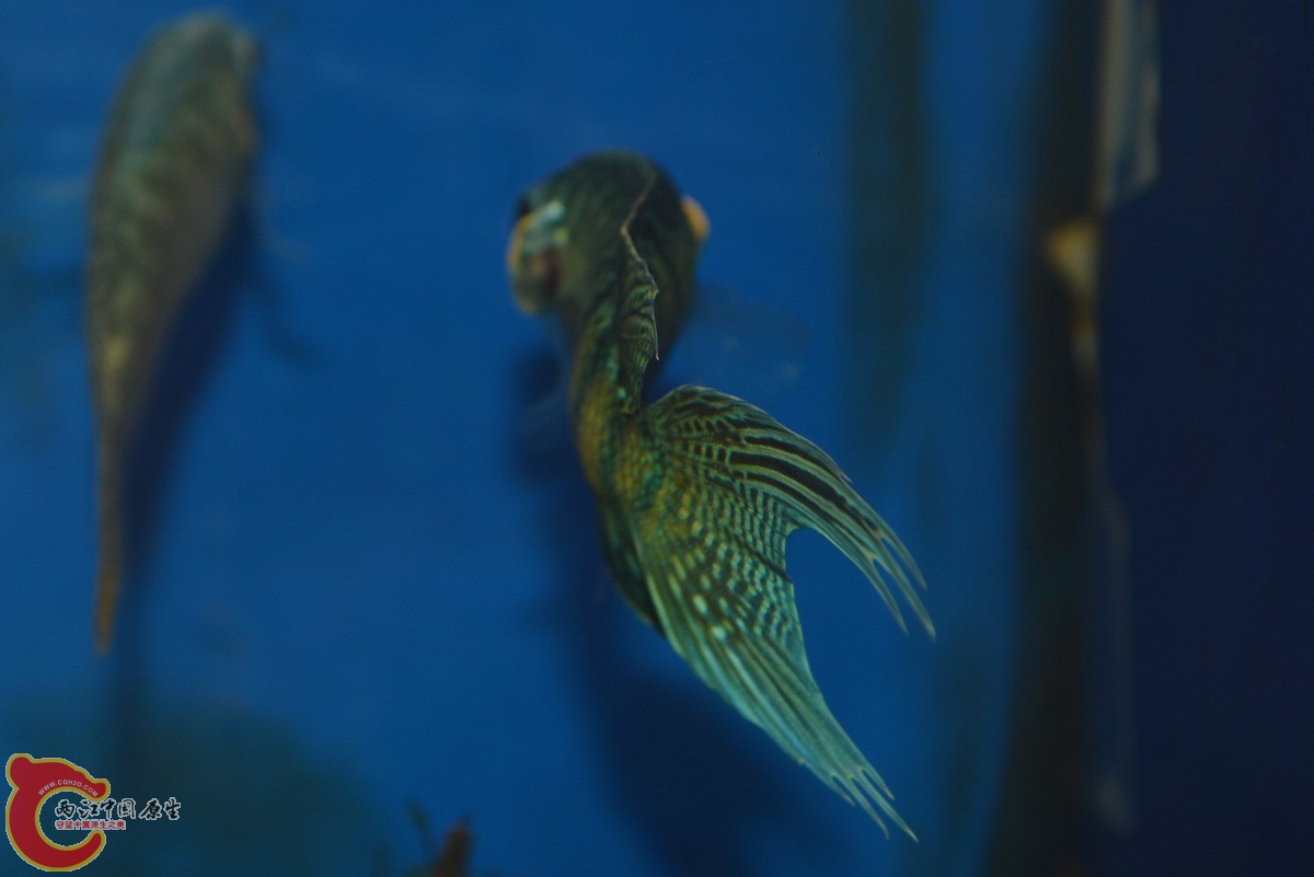DSC_0882.jpg