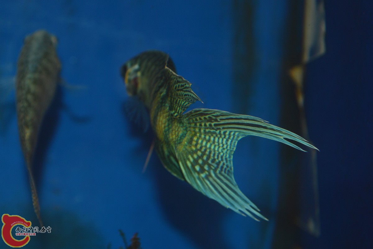 DSC_0883.jpg