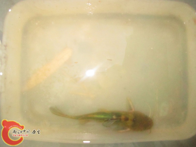 IMG_6933_副本.jpg