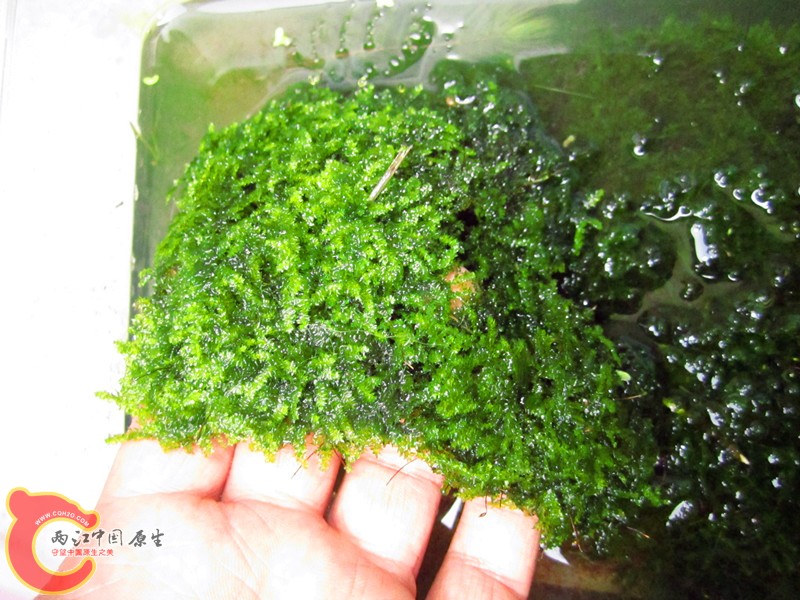 IMG_6928_副本.jpg