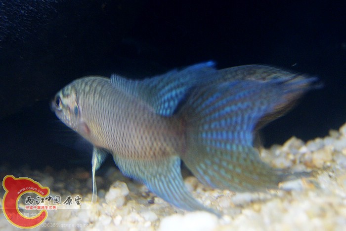 06.jpg