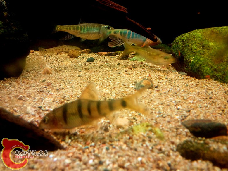 C360_2012-04-10 20-40-22_副本.jpg