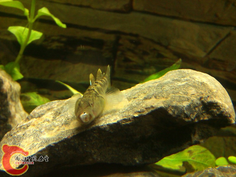 IMG_20130320_222626_副本.jpg