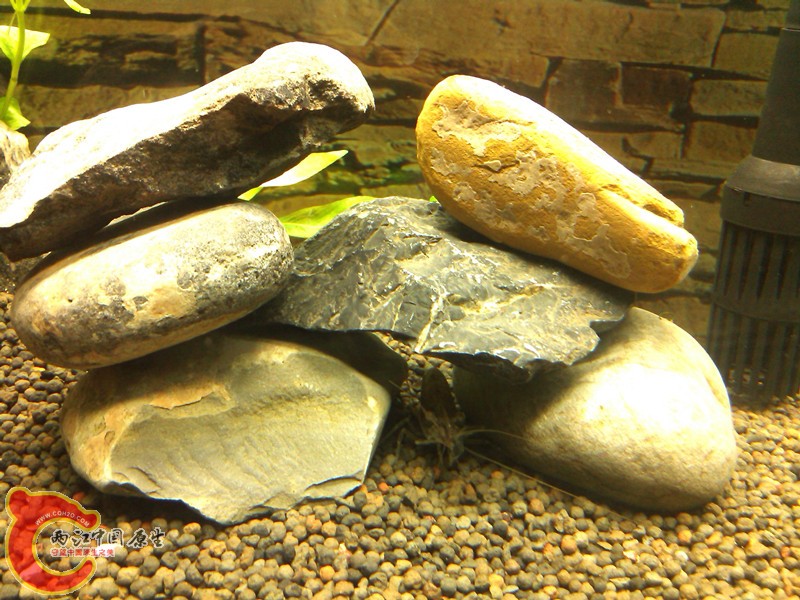 IMG_20130320_222814_副本.jpg