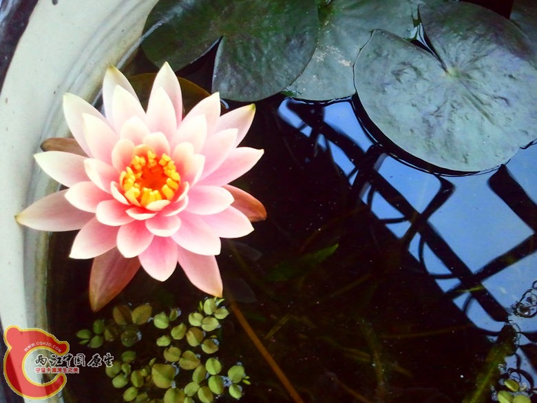 2013-03-21 17.48.06_副本.jpg