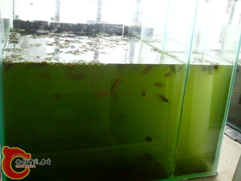 2013-03-21 17.50.02_副本.jpg