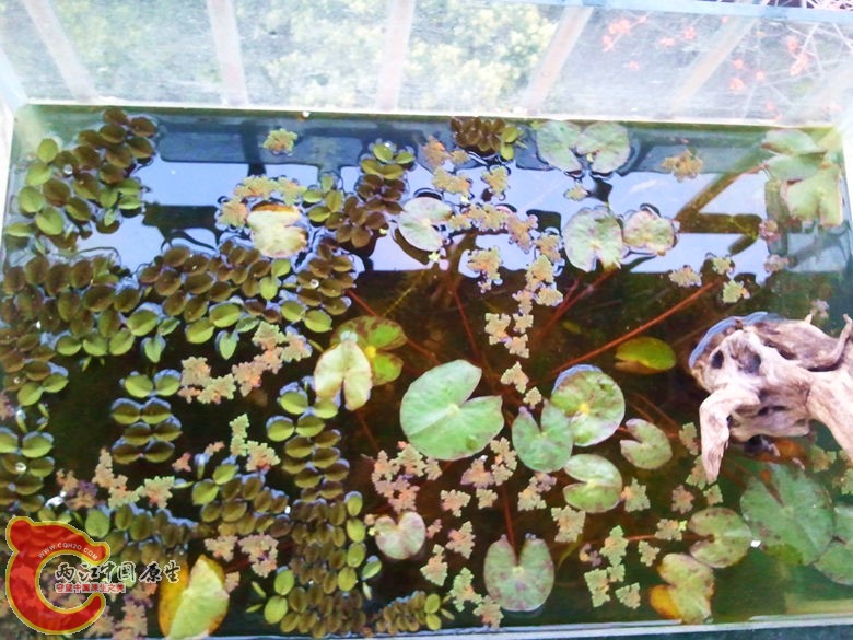 2013-03-21 17.51.45_副本.jpg