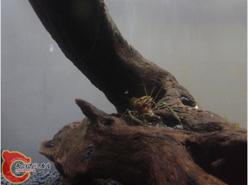P2(EFU%G{GWIF}N7JT(6IZC.jpg