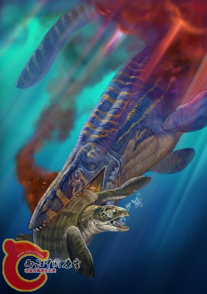 沧龙干掉古海龟.jpg