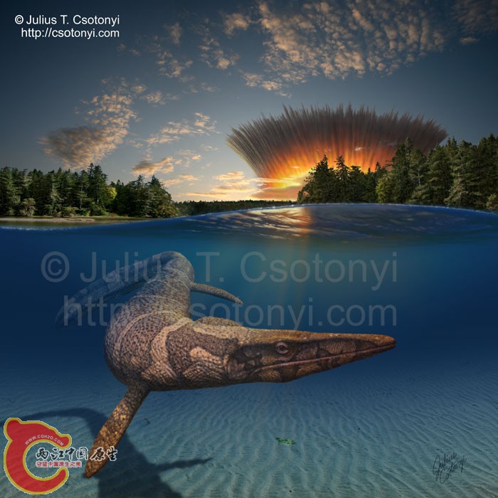 海王龙(tylosaur).jpg