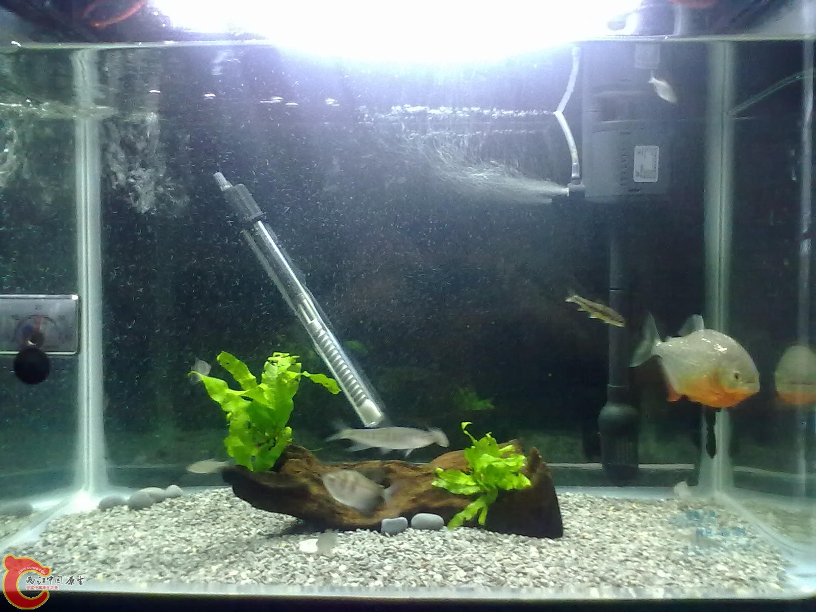 20130322460.jpg