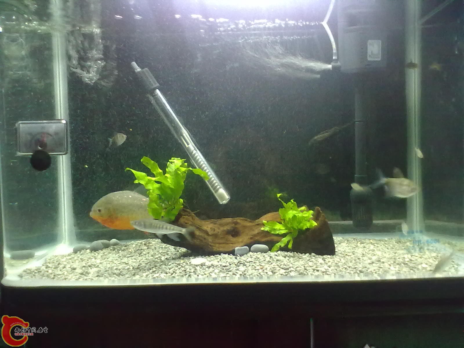20130322463.jpg