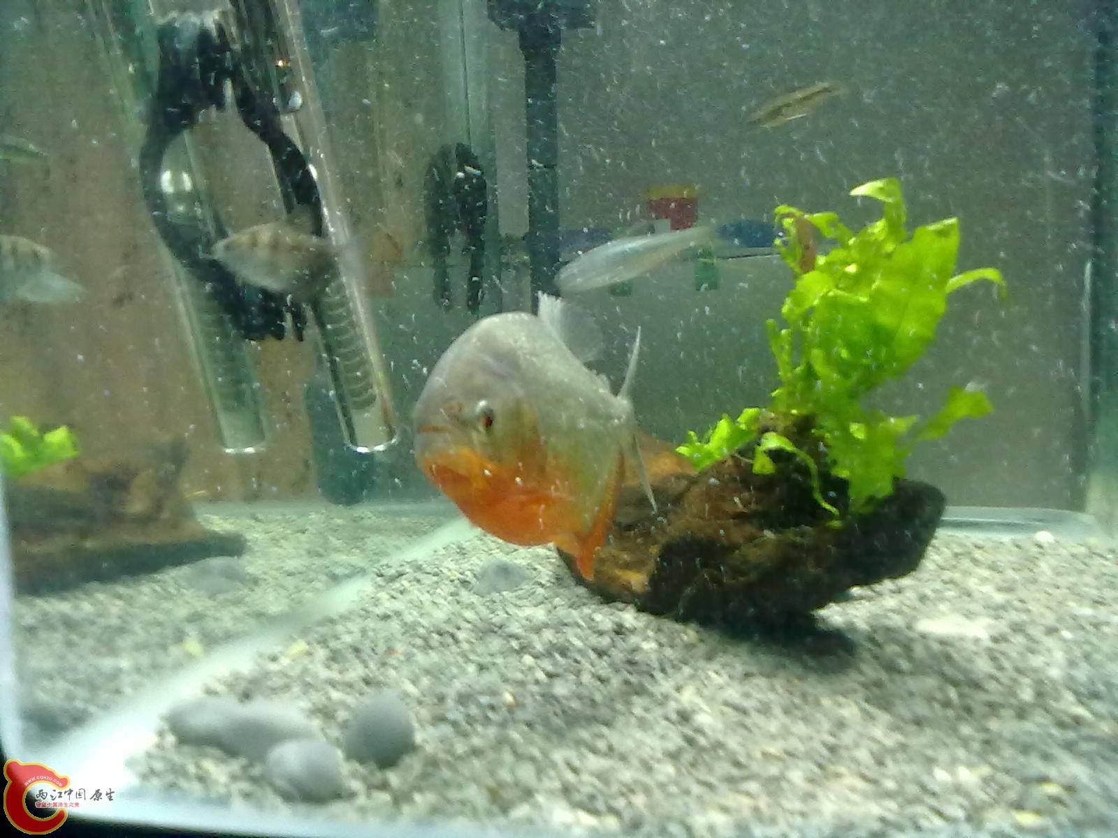 20130322469.jpg