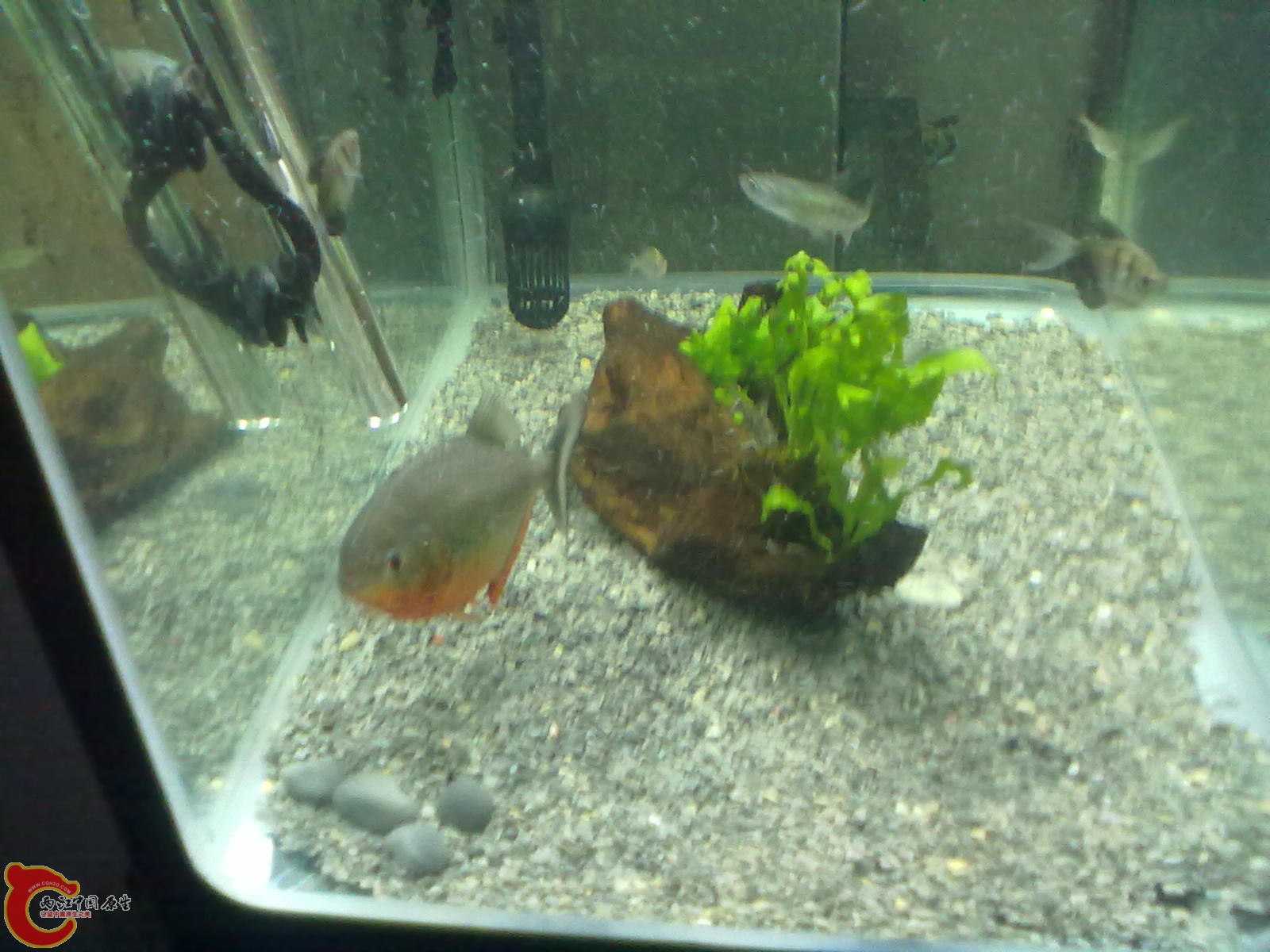 20130322470.jpg