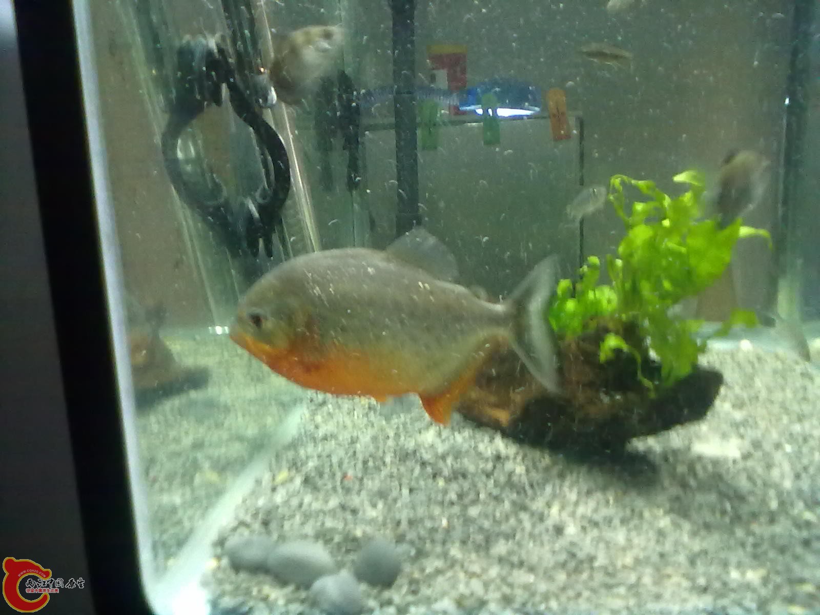 20130322471.jpg