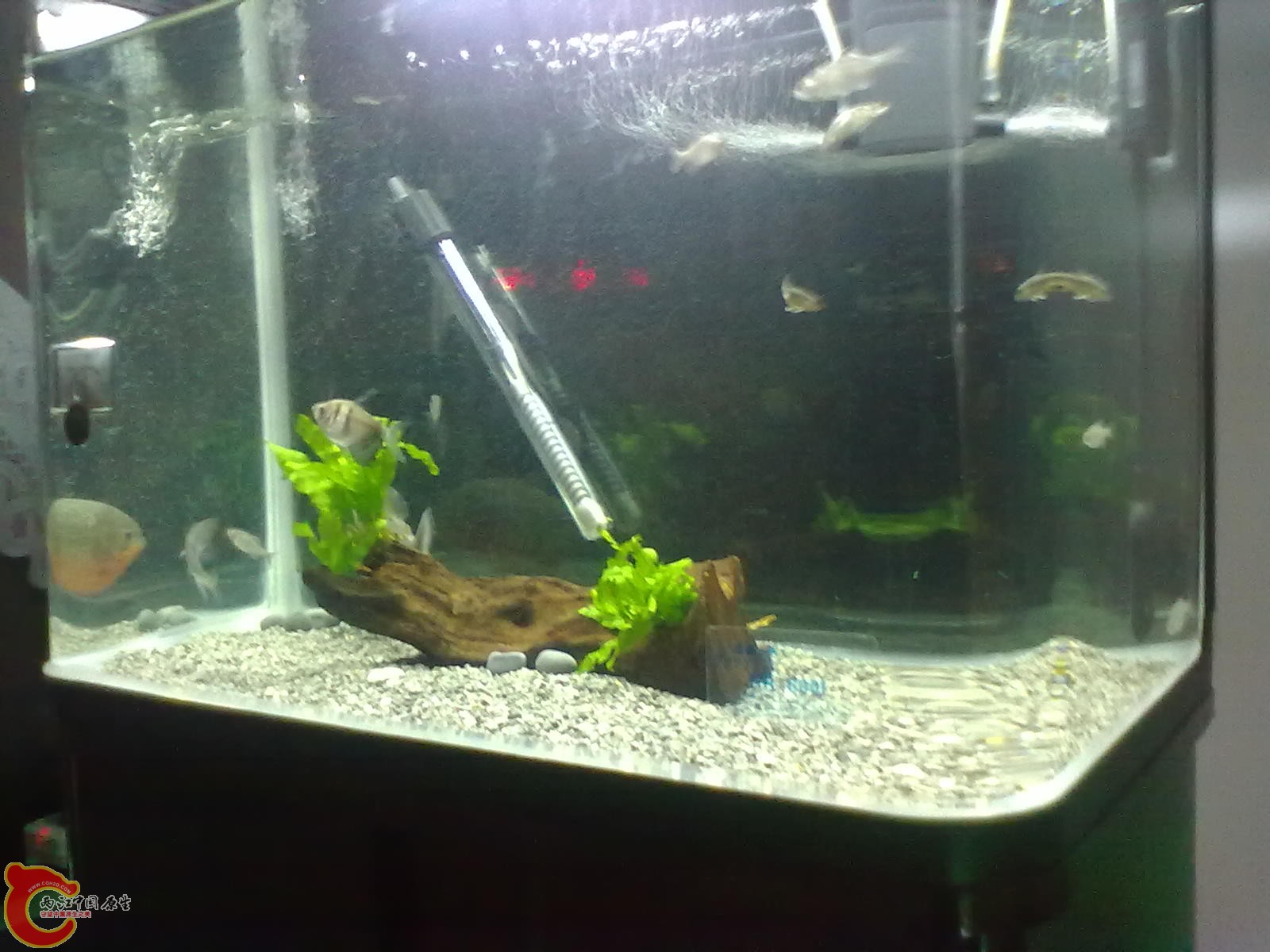 20130322472.jpg