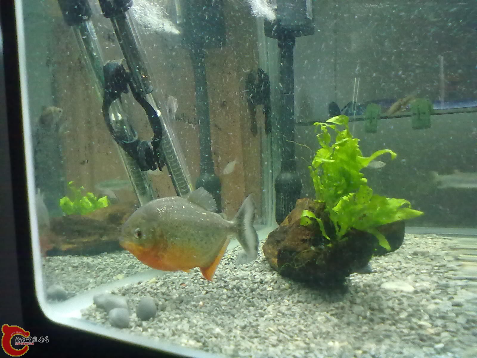20130322475.jpg