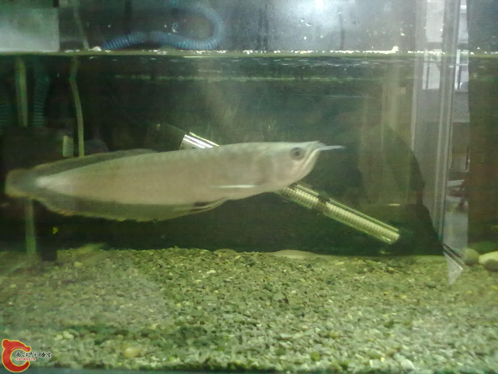 20130322465.jpg