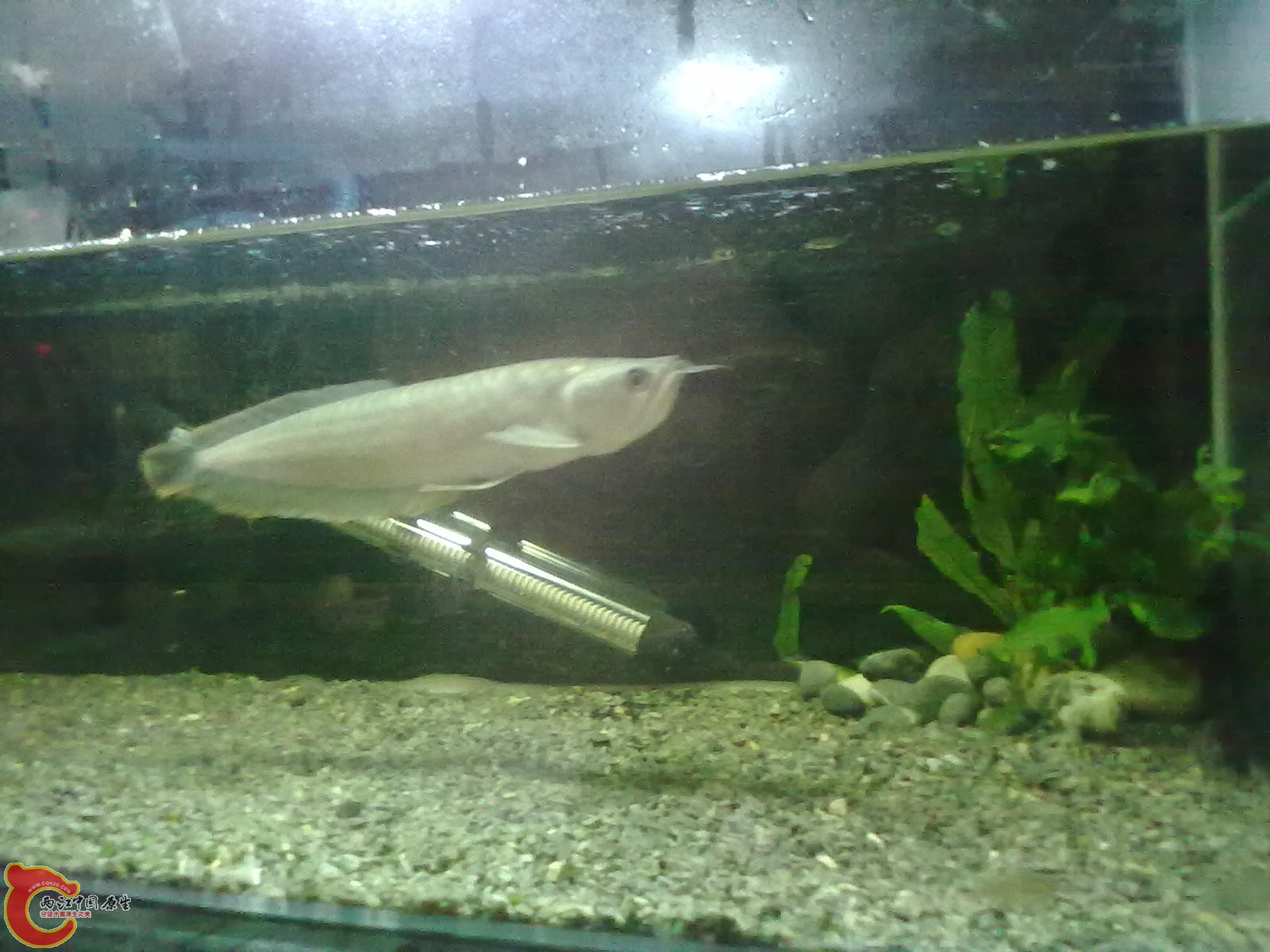20130322466.jpg