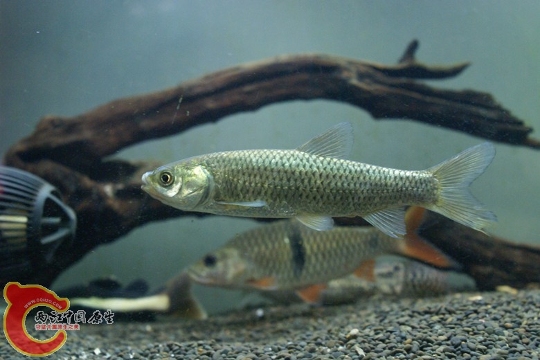 DSC09304_副本.jpg