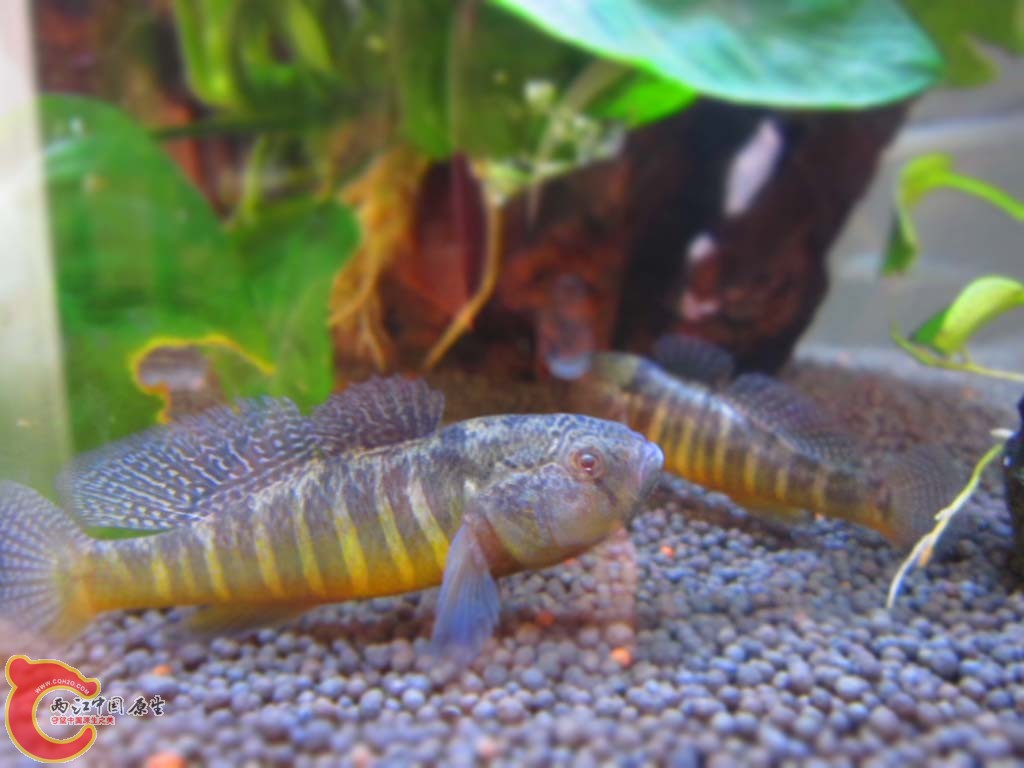 照片 028.jpg