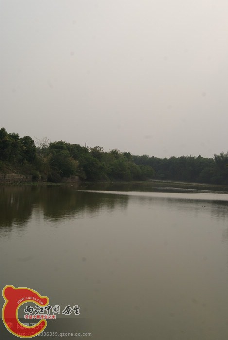 01.jpg