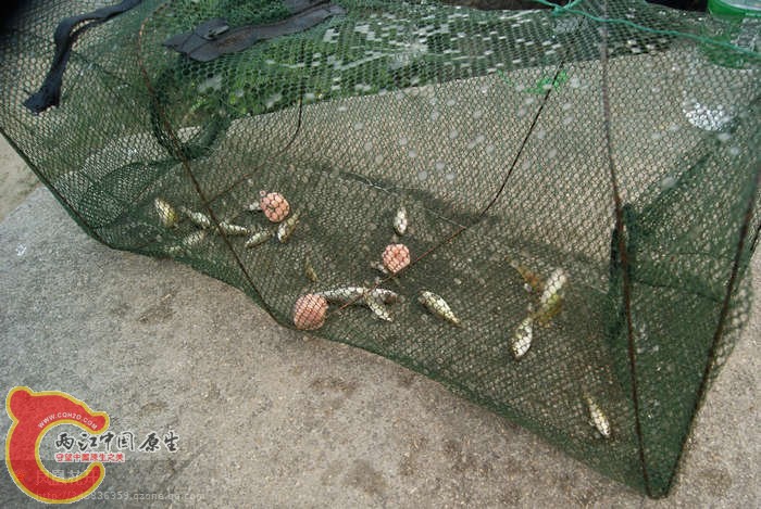 05.jpg