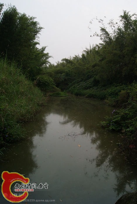 07.jpg