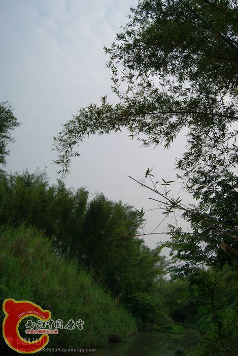 17.jpg