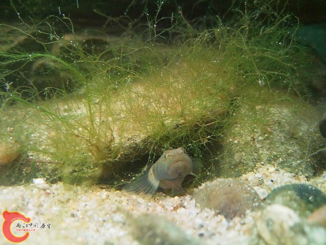 照片3570.jpg