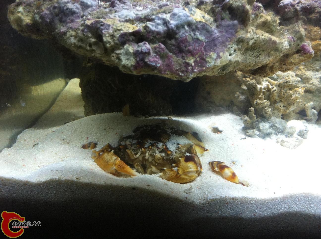 哈哈 这是附加的 大家猜猜看是什么？猜对有糖吃