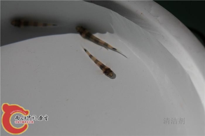 照片 598.jpg