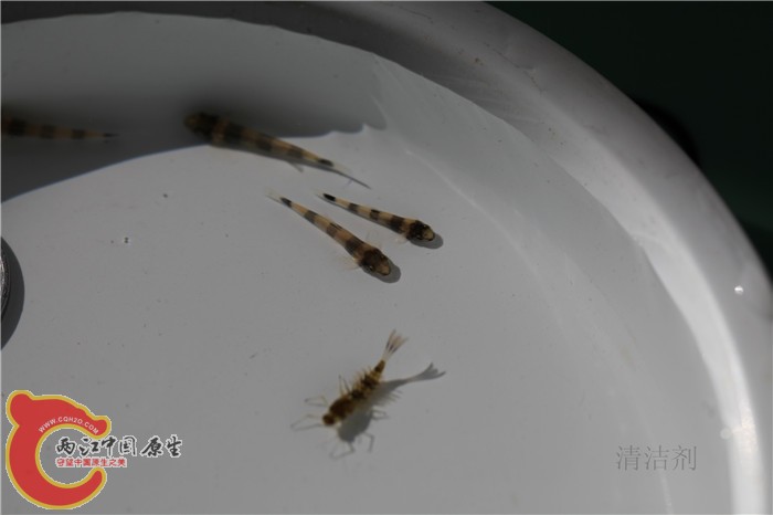 照片 601.jpg