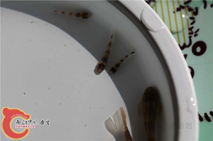 照片 613.jpg