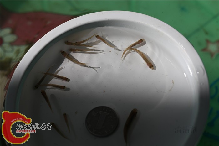 照片 620.jpg