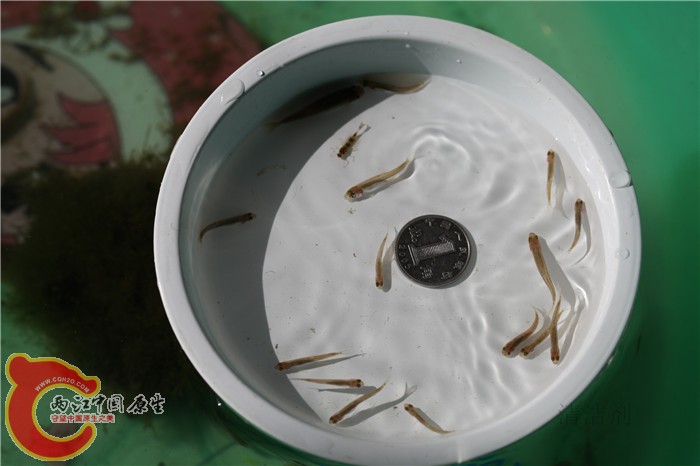 照片 621.jpg