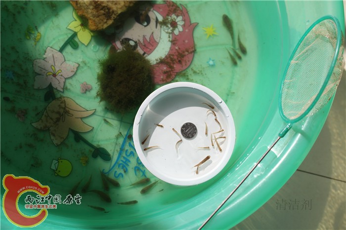 照片 622.jpg