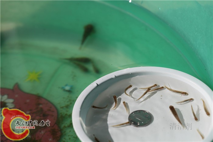 照片 626.jpg