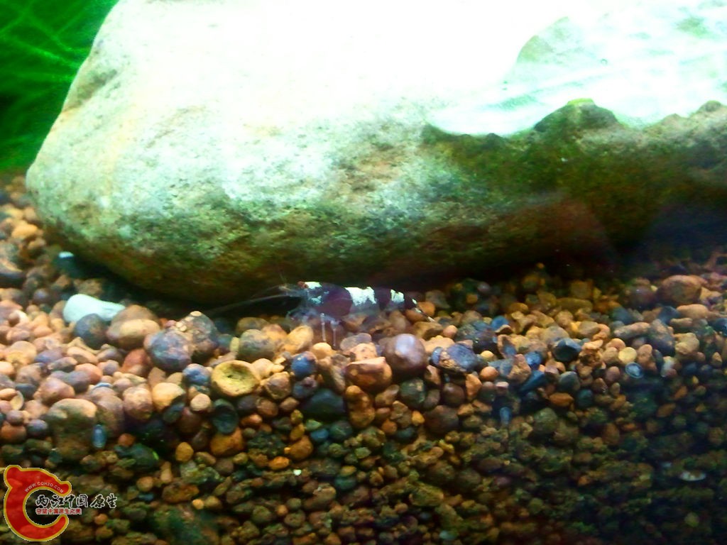 2013-03-24 22.14.11_副本.jpg