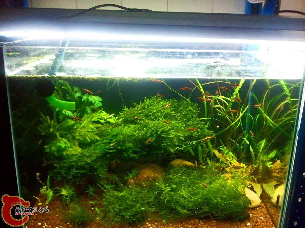 2013-03-24 22.09.20_副本.jpg